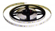 LED Streifen RTU1-5000 24V 150W White (smd5630, 300LED)